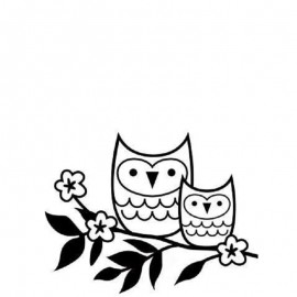 Folder Embosador de buho, Darice